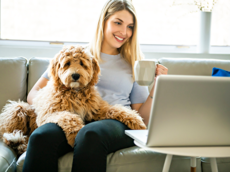 A woman with his Golden Labradoodle dog at home drinking coffee